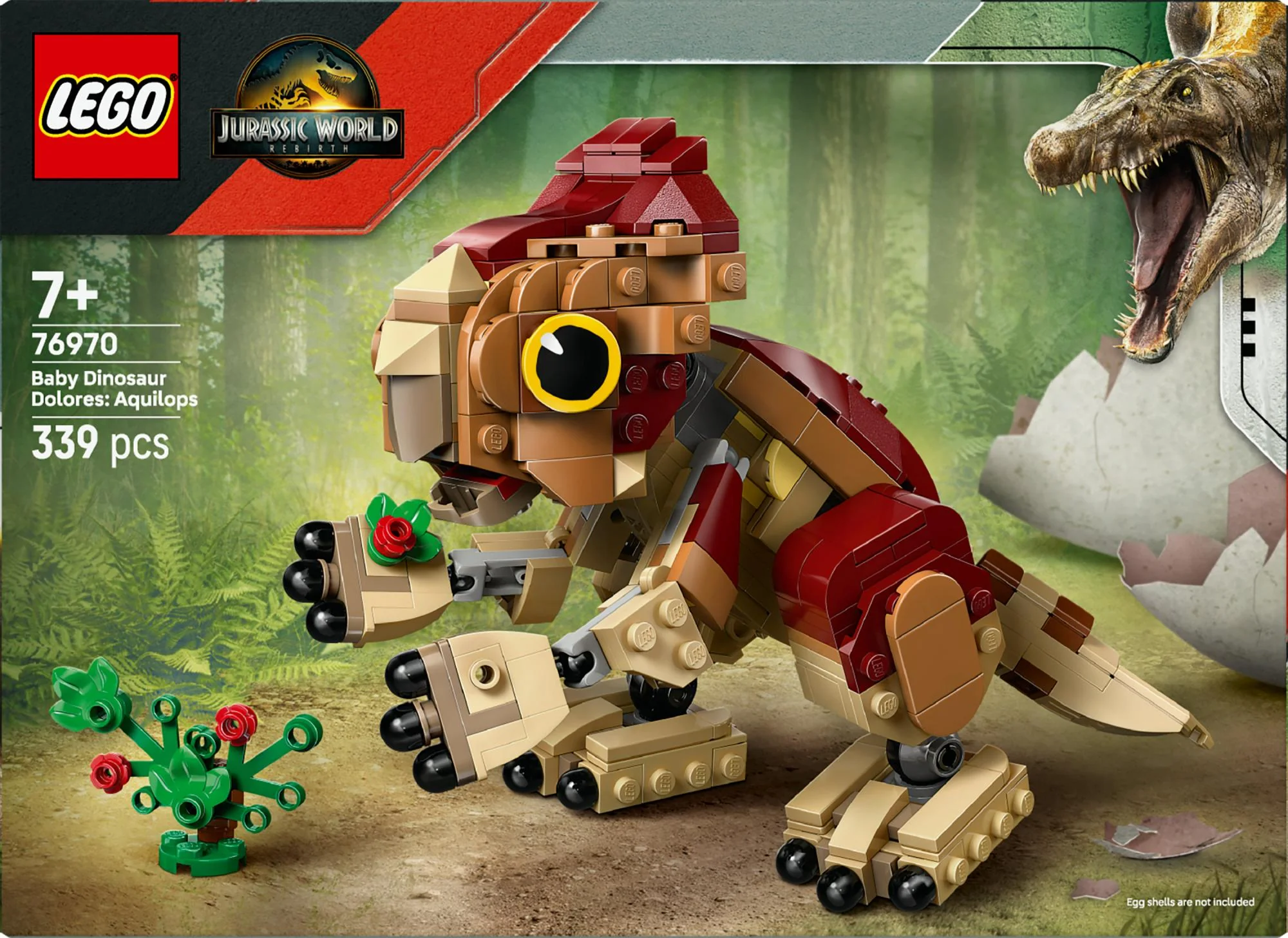 LEGO – Baby Dolores – Aquilops-dinosaur