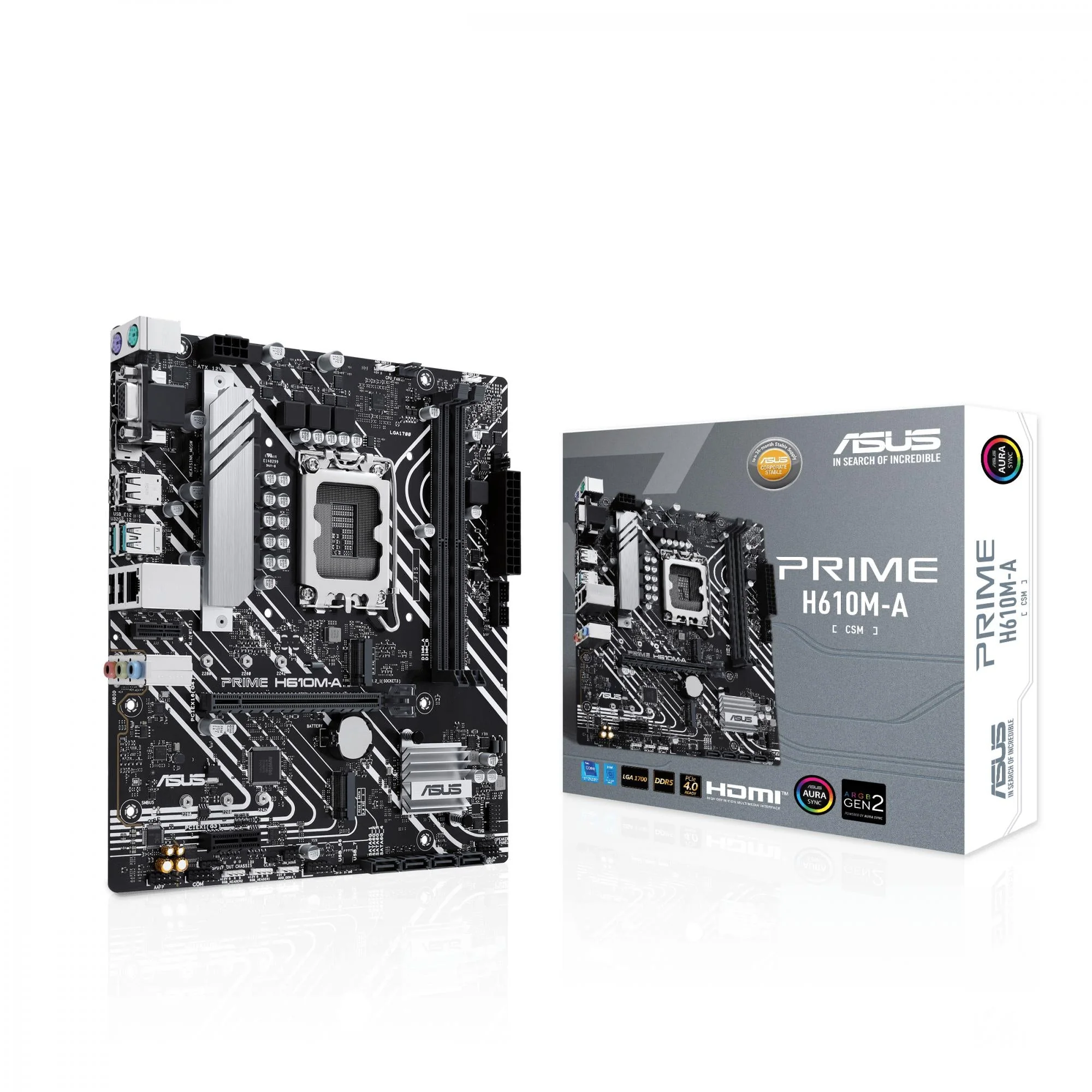 ASUS PRIME H610M-A-CSM (mATX. H610. LGA 1700. DDR5)